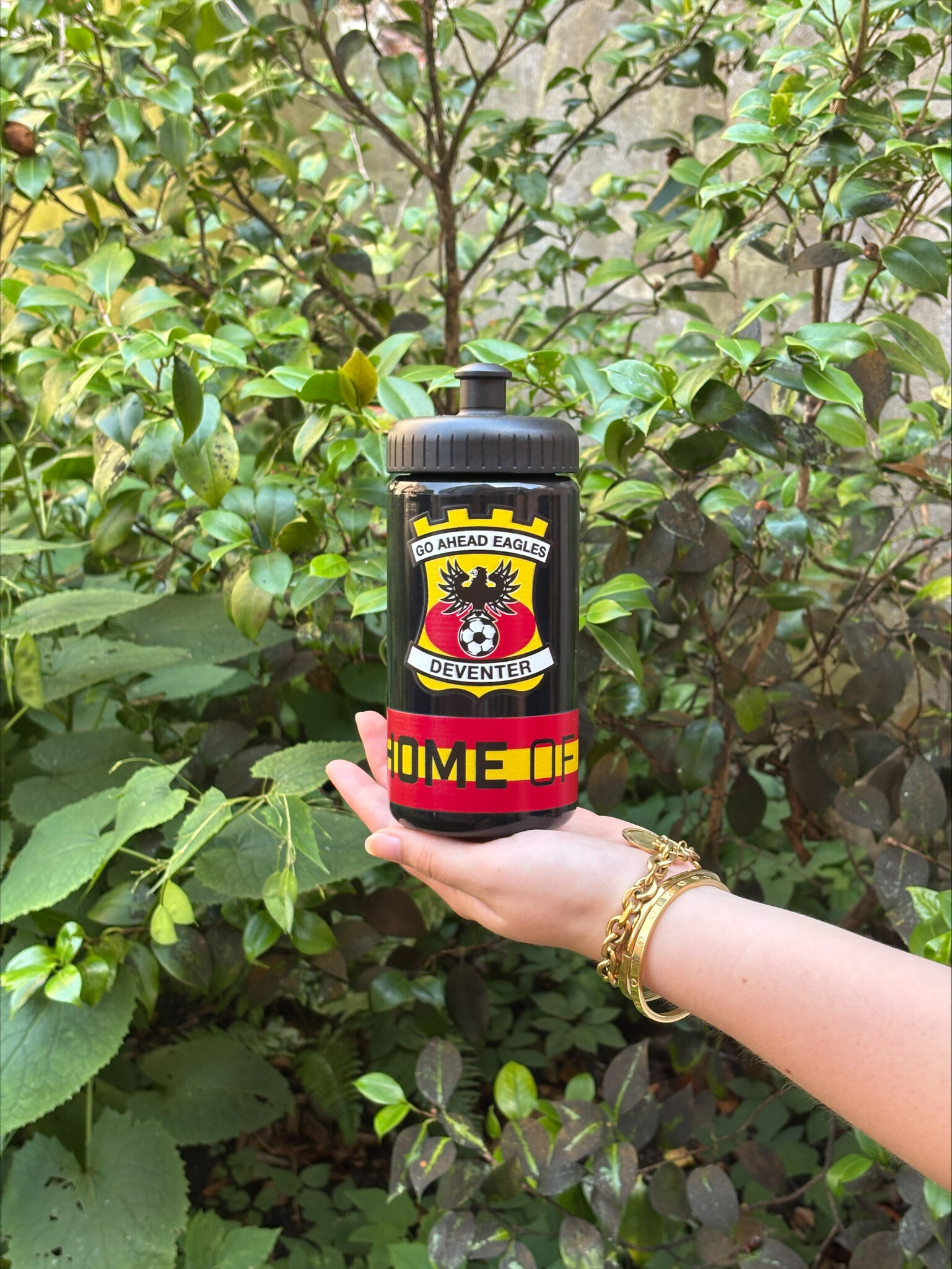 Go Ahead Eagles bidon