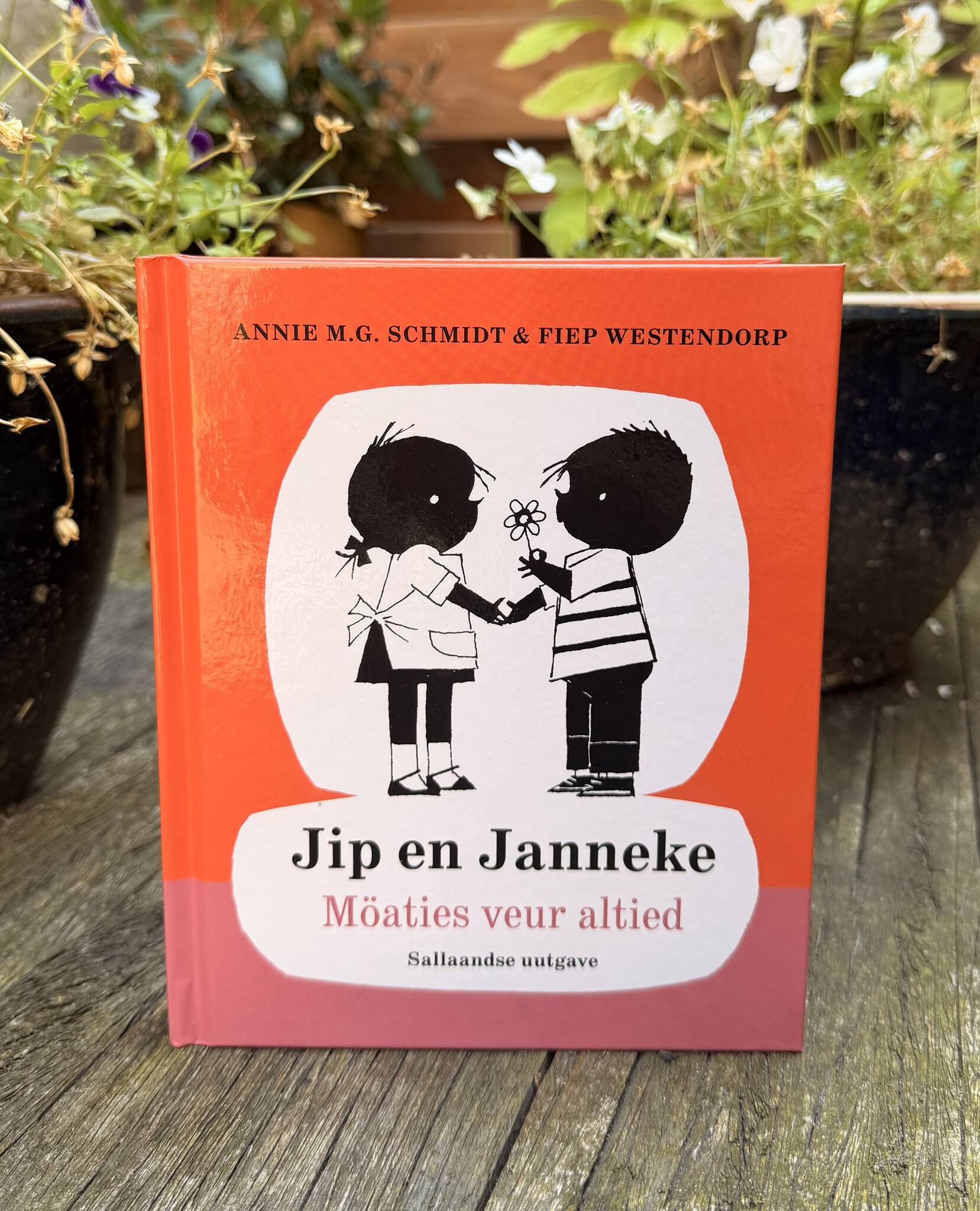 Jip en Janneke op zijn Sallands