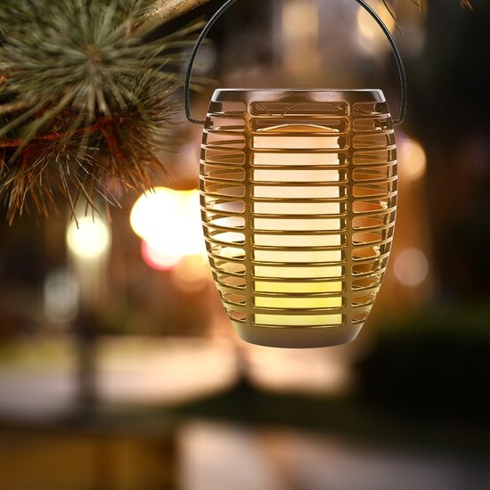 FlinQ FlinQ - Torch - Solar Tuinfakkels - Tuinverlichting op zonne-energie - Tuinlantaarns - Padverlichting - 2-pack