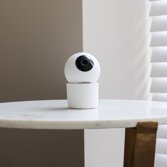 FlinQ FlinQ - Smart Indoor Camera Motion - 360° bewegingsdetectie
