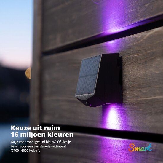 FlinQ FlinQ - Smart Solar Wandlamp - Solar Tuinverlichting - Wit en Gekleurd licht - Bewegingssensor - Alexa & Google Assistant - Orion