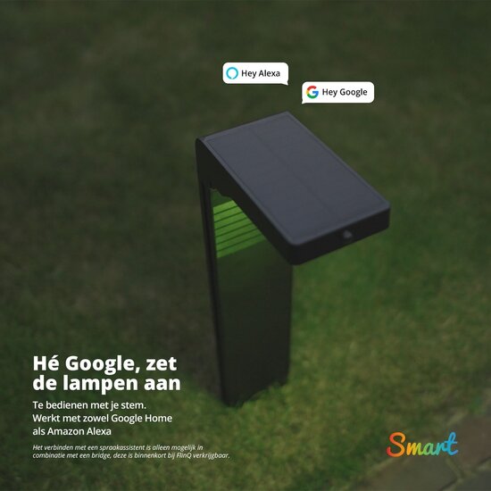 FlinQ FlinQ - Smart Solar Tuinlamp- 2-pack - Solar Tuinverlichting - Wit & Gekleurd licht - Bewegingssensor - Gaia