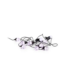 LED Lovers - LED Lichtsnoer Boston - 10 lampjes