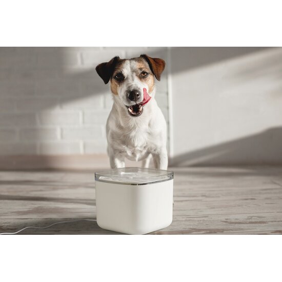 Venecon Goods Venecon Goods - Drinkfontein voor hond en kat