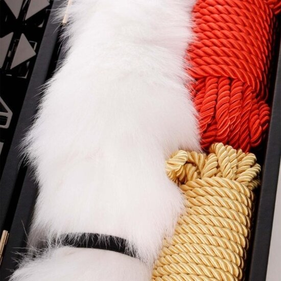 18+ - LOCKINK - Alles-in-1 BDSM Speelset