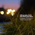 FlinQ FlinQ - Solar tuinverlichting - 2-pack - Zwart - Tiara
