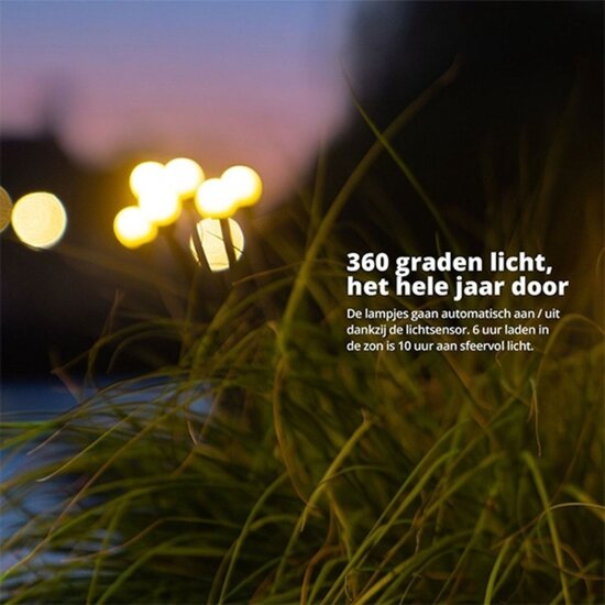 FlinQ FlinQ - Solar tuinverlichting - 2-pack - Zwart - Tiara