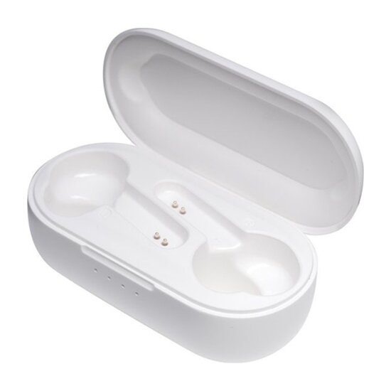 FlinQ FlinQ - Alume Draadloze Oordopjes - Bluetooth Oordopjes - Oplaadcase - IPX3 Spatwaterdicht
