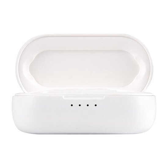 FlinQ FlinQ - Alume Draadloze Oordopjes - Bluetooth Oordopjes - Oplaadcase - IPX3 Spatwaterdicht