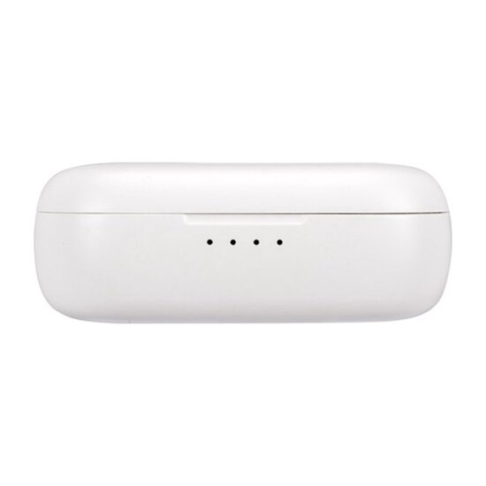 FlinQ FlinQ - Alume Draadloze Oordopjes - Bluetooth Oordopjes - Oplaadcase - IPX3 Spatwaterdicht
