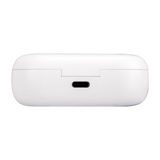 FlinQ FlinQ - Alume Draadloze Oordopjes - Bluetooth Oordopjes - Oplaadcase - IPX3 Spatwaterdicht