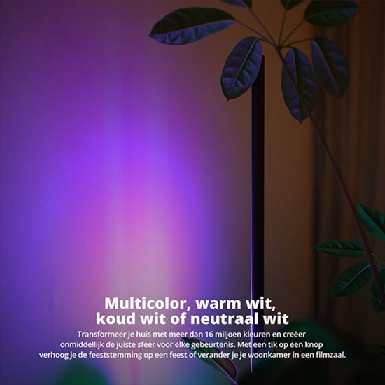 FlinQ FlinQ - Smart Indoor Xyro Floorlamp - Compatibel met Alexa en Google