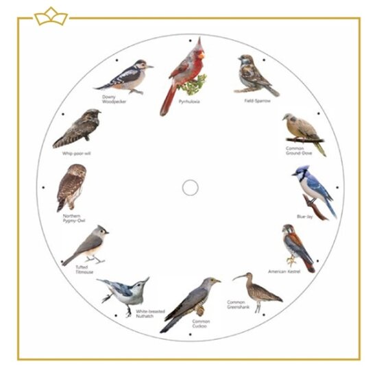 Attrezzo Attrezzo - Klok met vogelgeluiden - Birdsong clock