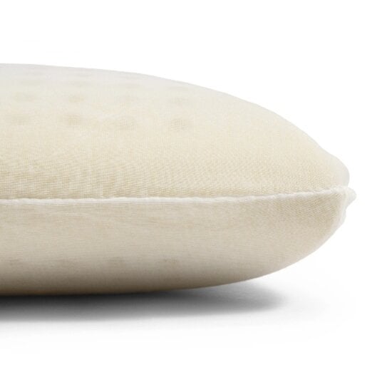 Dreamhouse Dreamhouse - Orthopedisch Aloë Vera - Viscogel Kussen