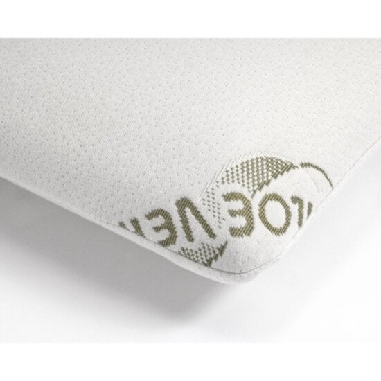 Dreamhouse Dreamhouse - Orthopedisch Aloë Vera - Viscogel Kussen