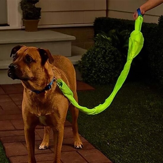Glo N Go Glo N Go – Reflecterende Hondenriem