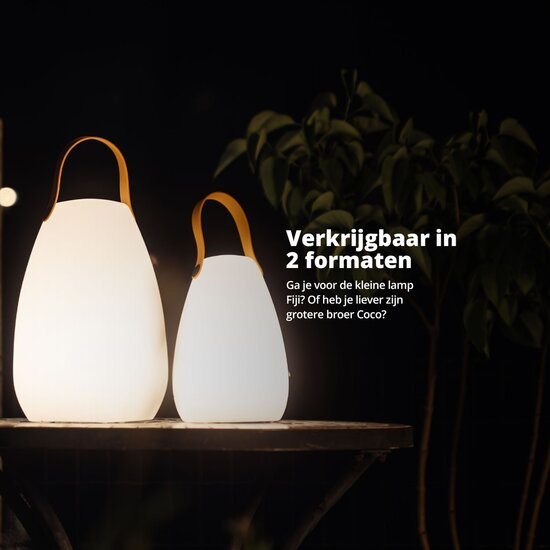 FlinQ FlinQ Fiji Oplaadbare Tafellamp voor Binnen en Buiten - Gekleurd en Wit LED