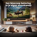 FlinQ FlinQ - Soundbar Play - Soundbar voor TV - Zwart - Film modus - Muziek modus