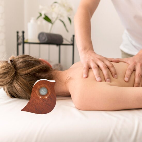 Nexxt NEXXT Singing Box Geluiddoosje met Vogelgeluid en Bewegingssensor - Huisje