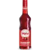 Toschi Vignola Cranberry Syrup 1.320kg