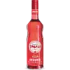 Toschi Vignola Watermelon Syrup 1.320kg