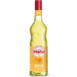Toschi Vignola Honey Syrup 1kg