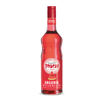 Toschi Vignola Watermelon Syrup 1.320kg