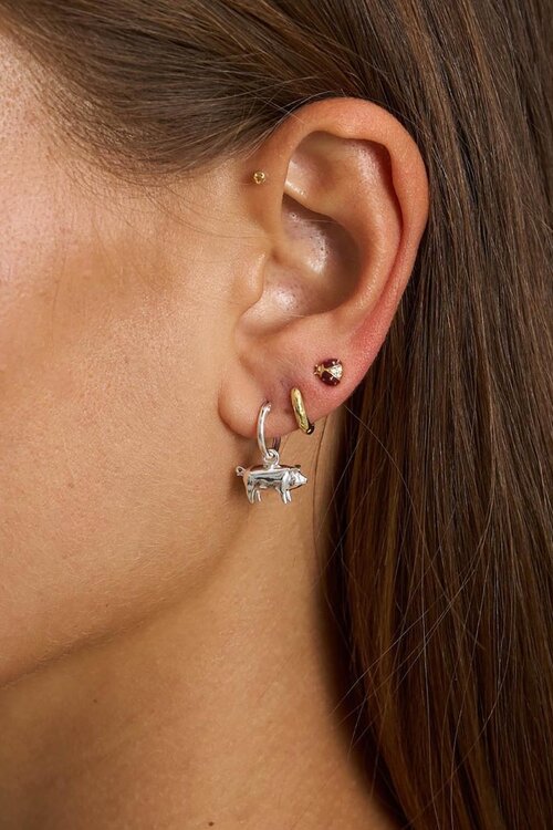 Anna & Nina Goud Single Lady Bug Stud