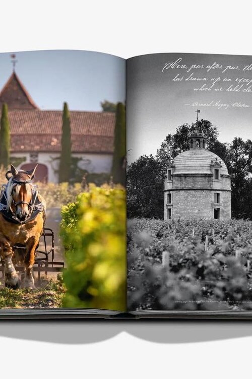 Assouline gekleurde Wine & Travel France