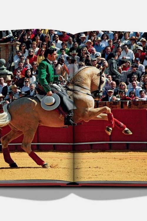 Assouline Sevilla Arte