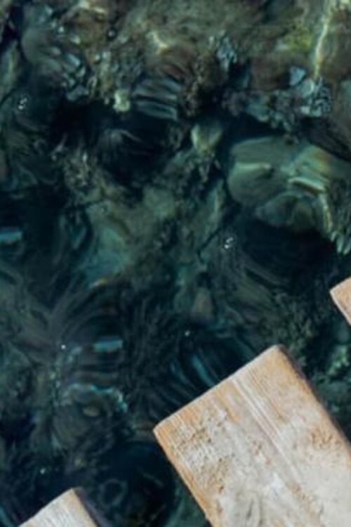 Assouline Ibiza Bohemia