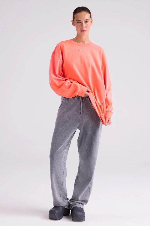 Stieglitz Koraal Basic Skate Longsleeve