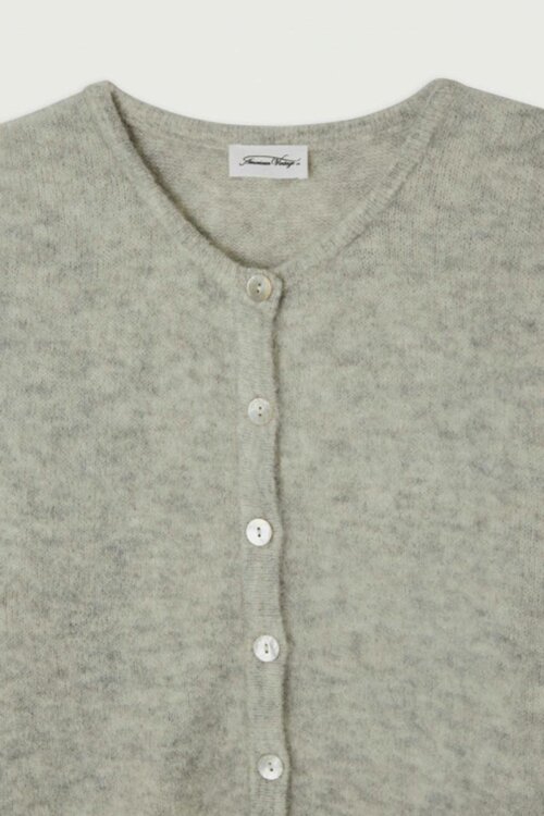 American Vintage Gris chine clair Gebreid Vest: Dit stijlvolle vest in een lichte grijze tint is perfect voor elke gelegenheid. Het biedt zowel comfort als een moderne uitstraling, ideaal voor een casual dagje uit of een ontspannen avond thuis.