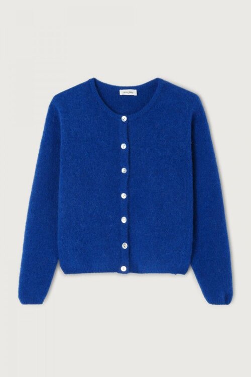 American Vintage Blauw Gebreid Vest