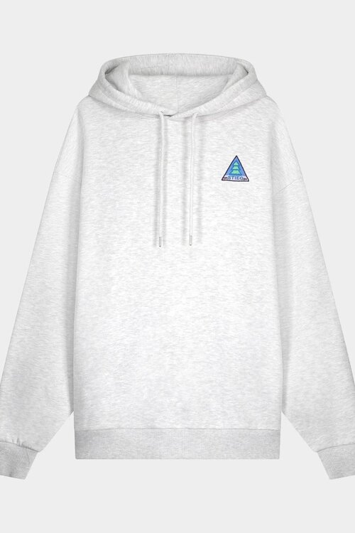 Stieglitz Grijs Cisco Hoodie