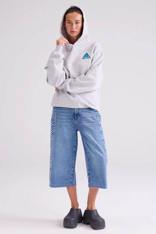 Stieglitz Grijs Cisco Hoodie