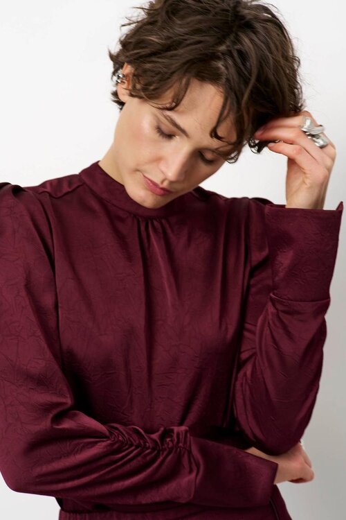 Dante 6 Pristine Turtle Shirt