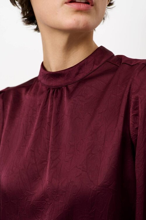 Dante 6 Pristine Turtle Shirt