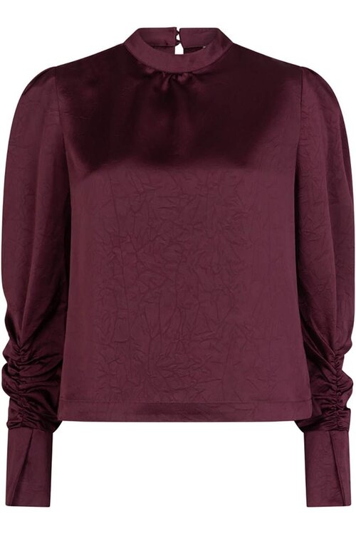 Dante 6 Pristine Turtle Shirt