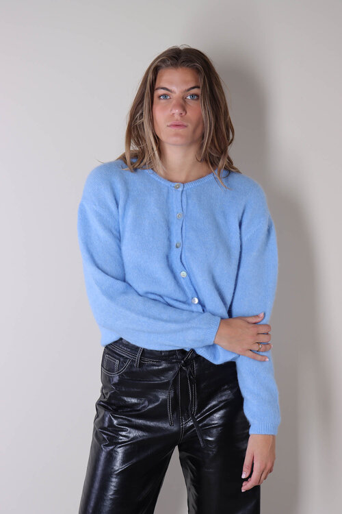 American Vintage Blauw Gebreid Vest