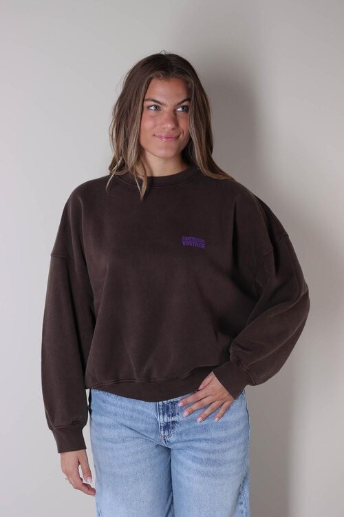 American Vintage Sweater in Bruin