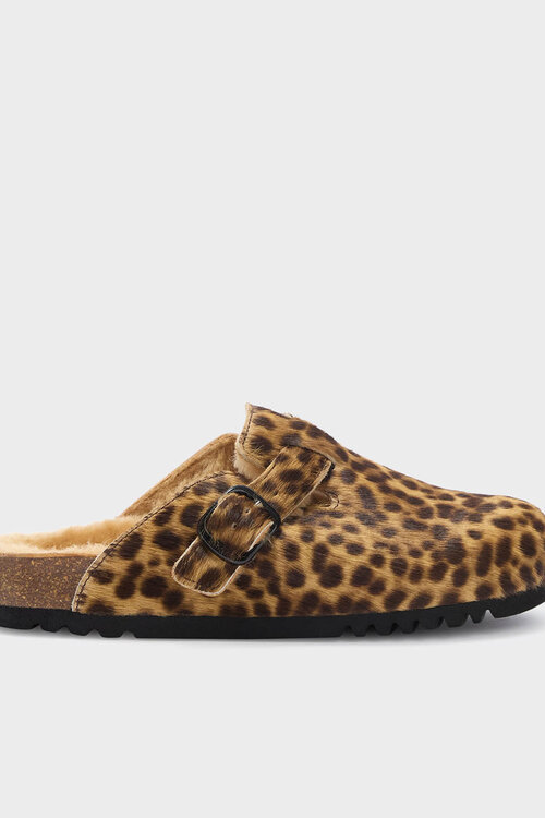 Scholl Verschillende tinten Fae New F