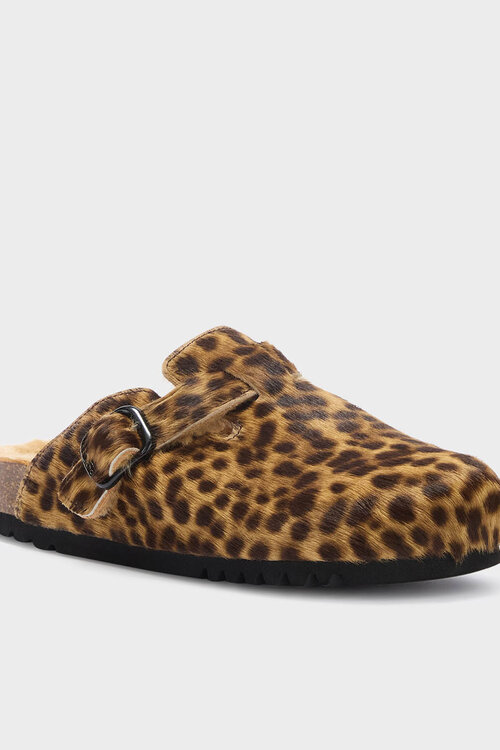 Scholl Verschillende tinten Fae New F