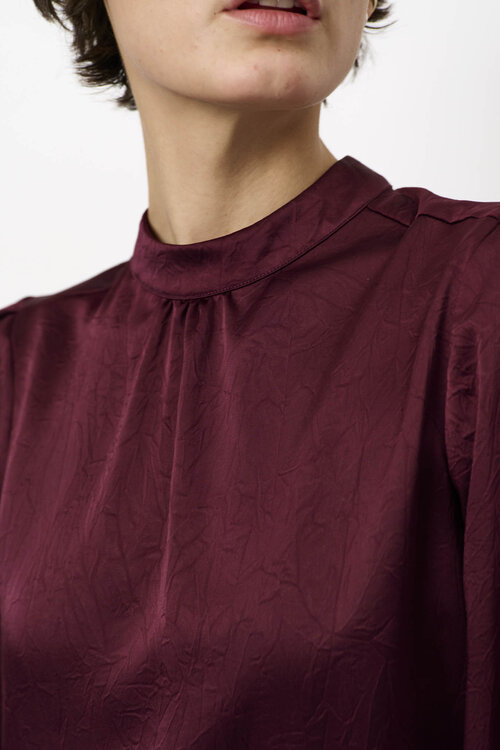 Dante 6 Pristine Turtle Top