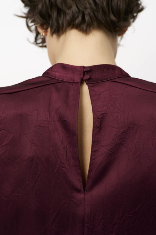 Dante 6 Pristine Turtle Top