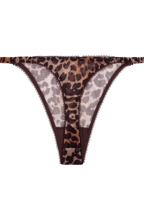 Love Stories Leopard String
