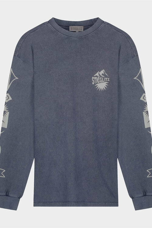 Stieglitz Benjamin Skate Longsleeve in Grijs