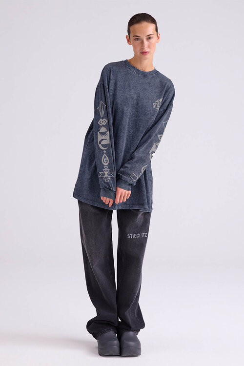 Stieglitz Benjamin Skate Longsleeve in Grijs