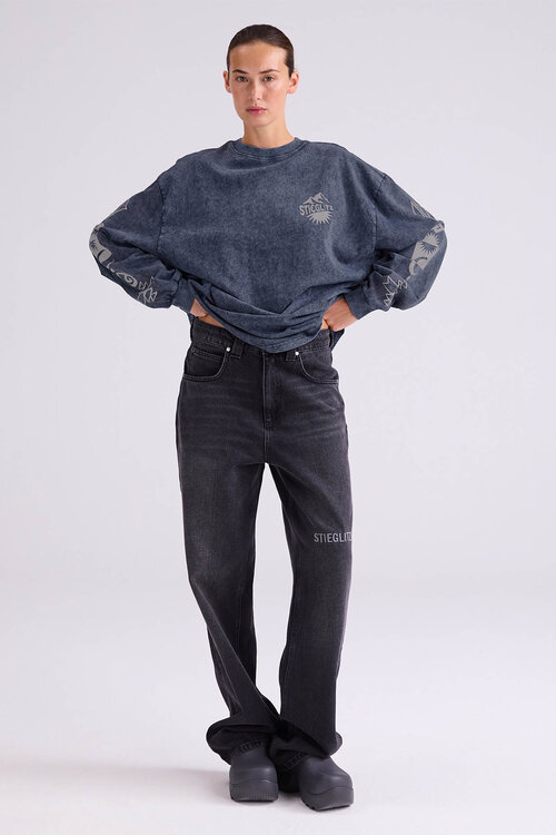 Stieglitz Benjamin Skate Longsleeve in Grijs