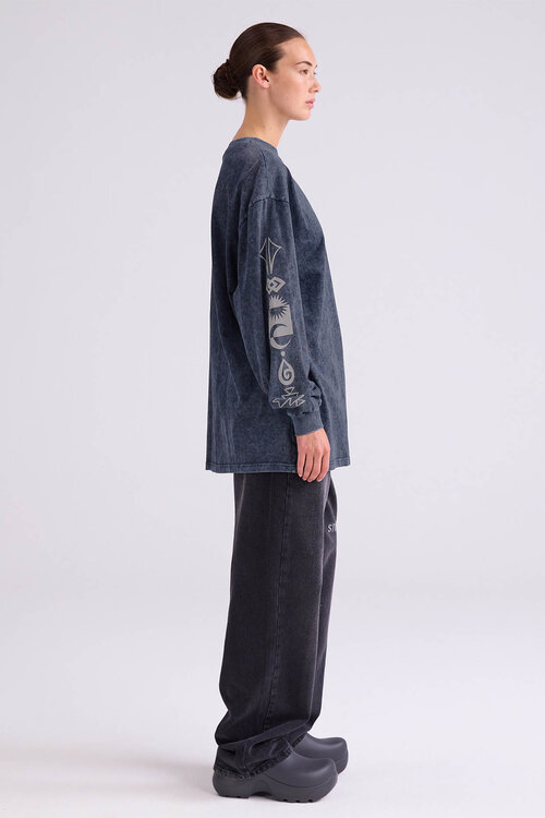 Stieglitz Benjamin Skate Longsleeve in Grijs